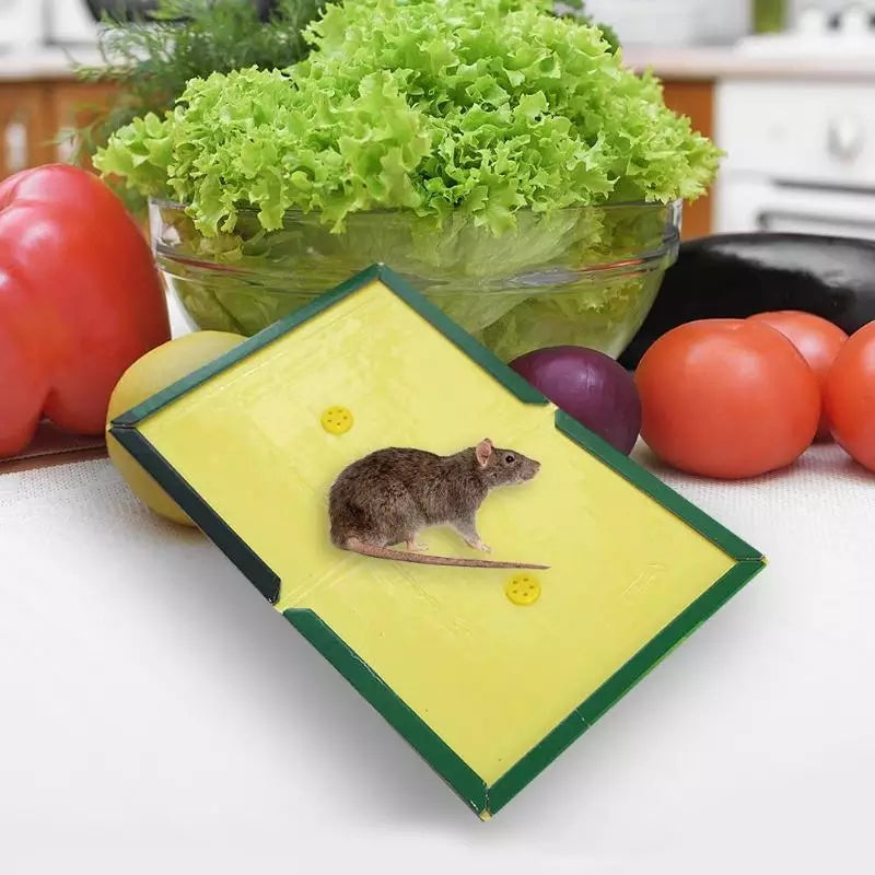 Reusable Expert Mouse & Rat Glue Trap – Heavy Duty, Strong Adhesive, Pre-Baited, Non-Toxic, Odorless, Child-Safe Pest Control for Rodents, Insects, and Bugs