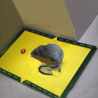 Reusable Expert Mouse & Rat Glue Trap – Heavy Duty, Strong Adhesive, Pre-Baited, Non-Toxic, Odorless, Child-Safe Pest Control for Rodents, Insects, and Bugs