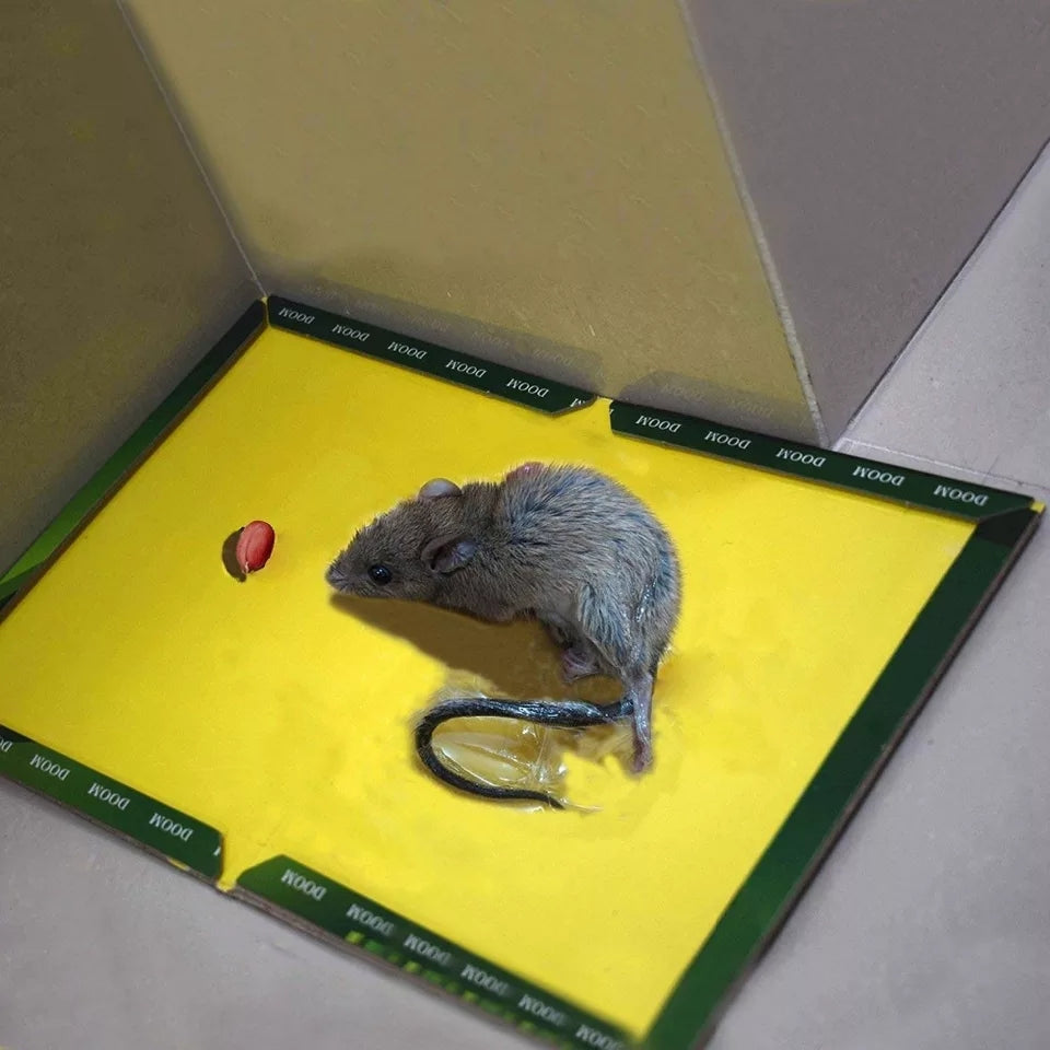 Reusable Expert Mouse & Rat Glue Trap – Heavy Duty, Strong Adhesive, Pre-Baited, Non-Toxic, Odorless, Child-Safe Pest Control for Rodents, Insects, and Bugs